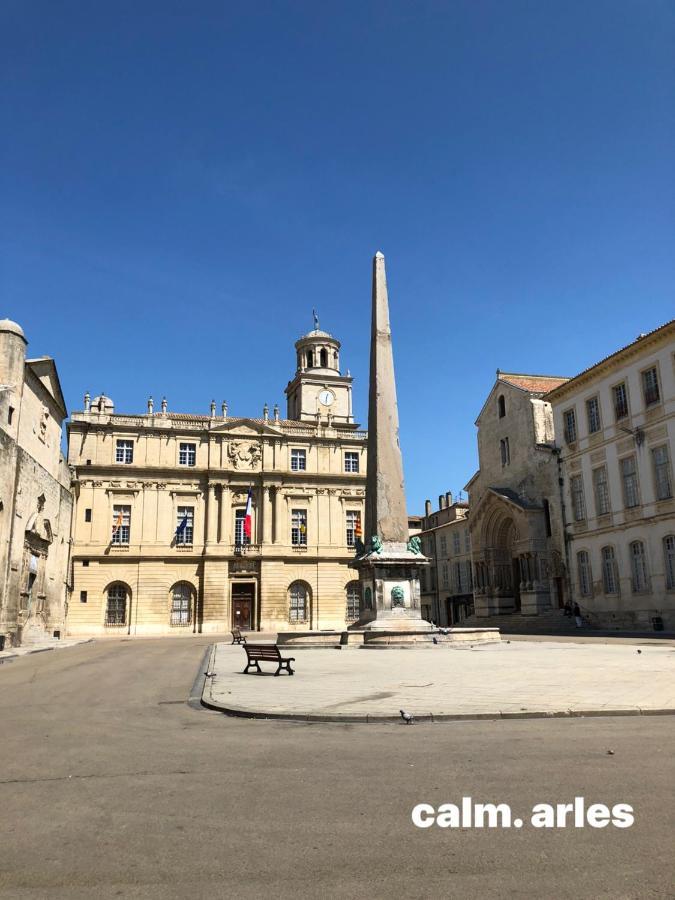 Maison Terrasse Beauduc, Arles Esterno foto